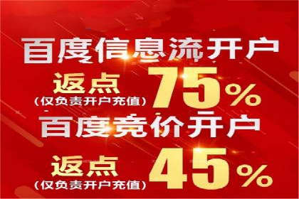 搜索引擎营销（SEM）在本地市场的投放案例